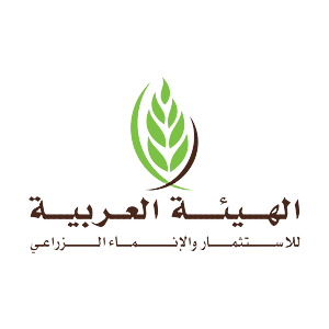 Arab authority